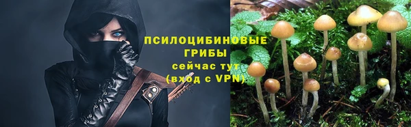 дживик Арсеньев