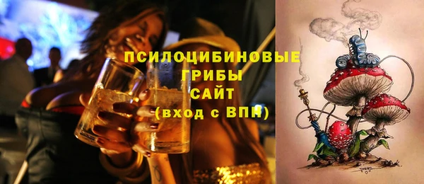 дживик Арсеньев