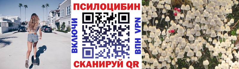 OMG ONION  дарк нет официальный сайт  Псилоцибиновые грибы Psilocybe  Белозерск 